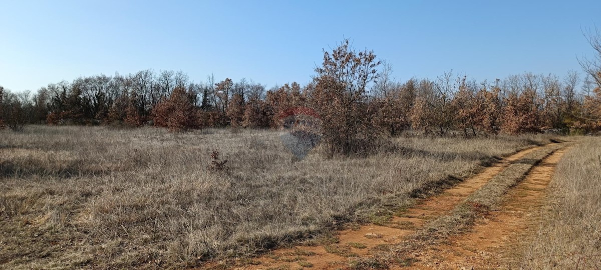 Terreno edificabile Smoljanci, Svetvinčenat, 6.995m2