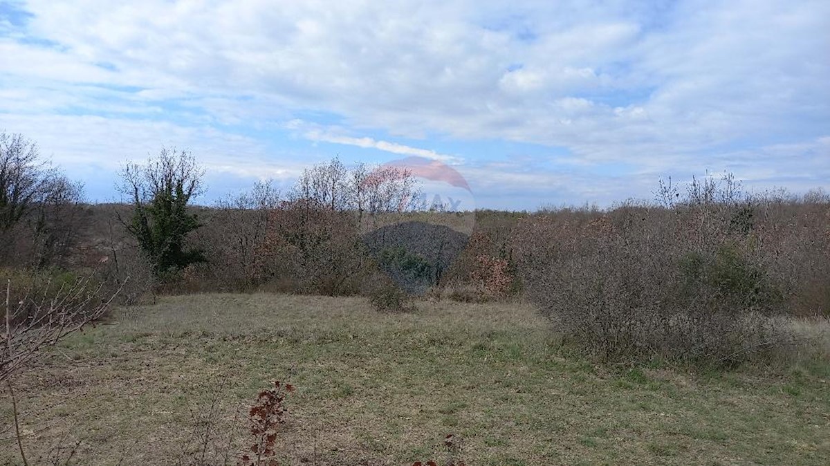 Terreno edificabile Vodnjan, 18.713m2