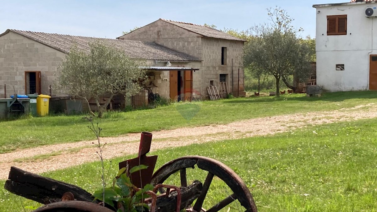 Casa Košutići, Višnjan, 200m2