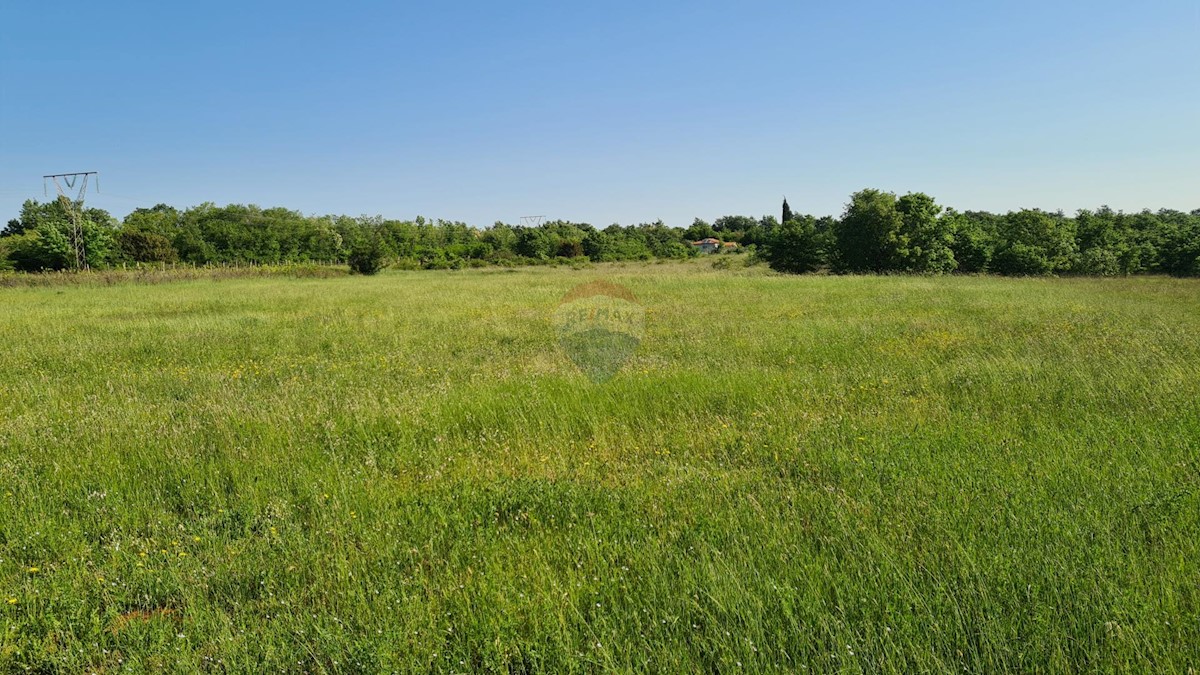 Terreno non edificabile Marčana, 15.438m2