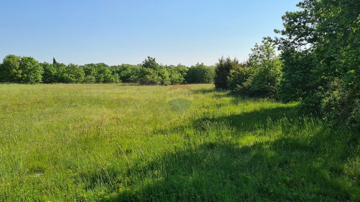 Terreno non edificabile Marčana, 15.438m2