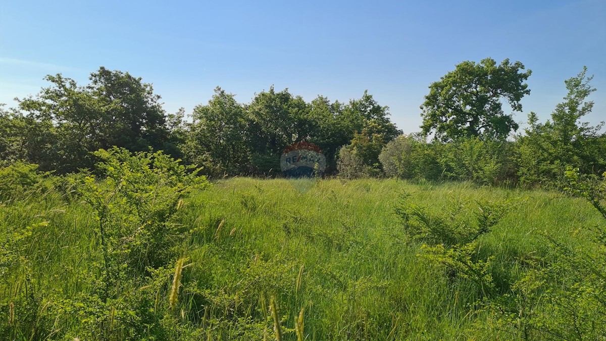 Terreno non edificabile Marčana, 15.438m2