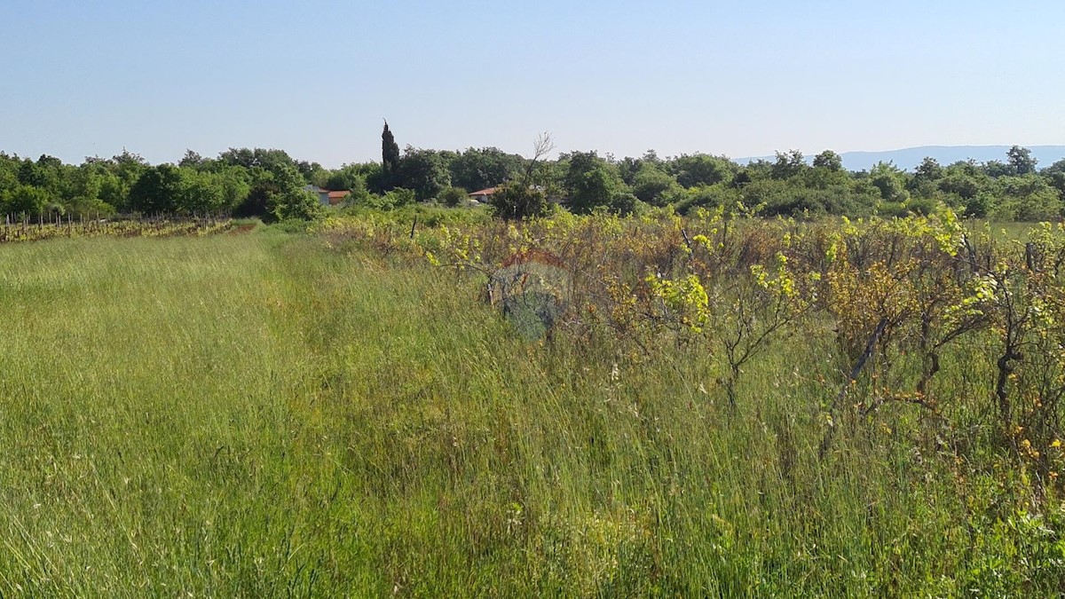 Terreno non edificabile Marčana, 15.438m2