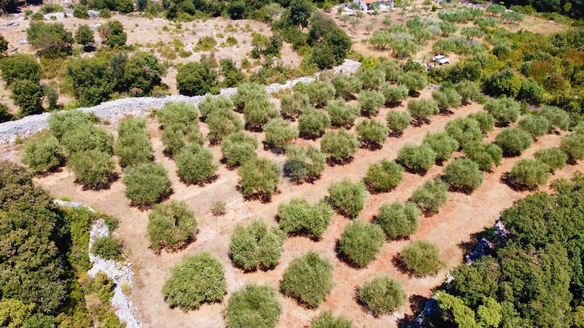 Terreno non edificabile Rovinj, 3.223m2