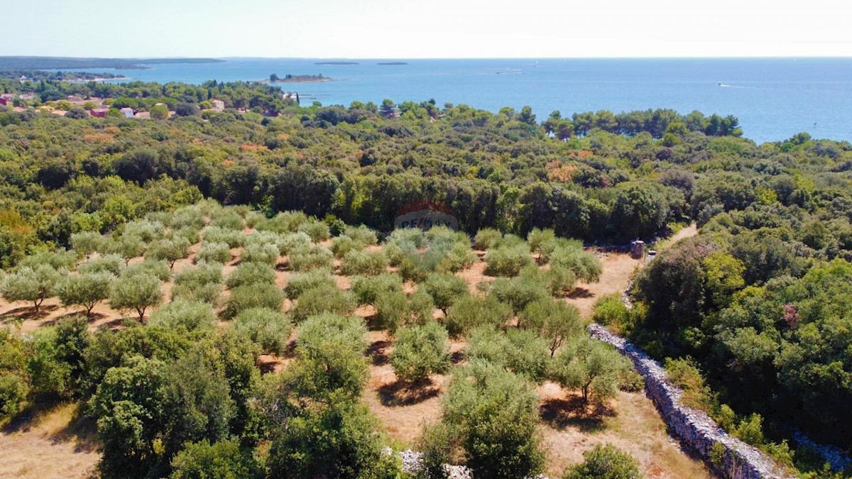 Terreno non edificabile Rovinj, 3.223m2