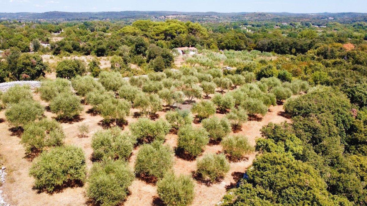 Terreno non edificabile Rovinj, 3.223m2