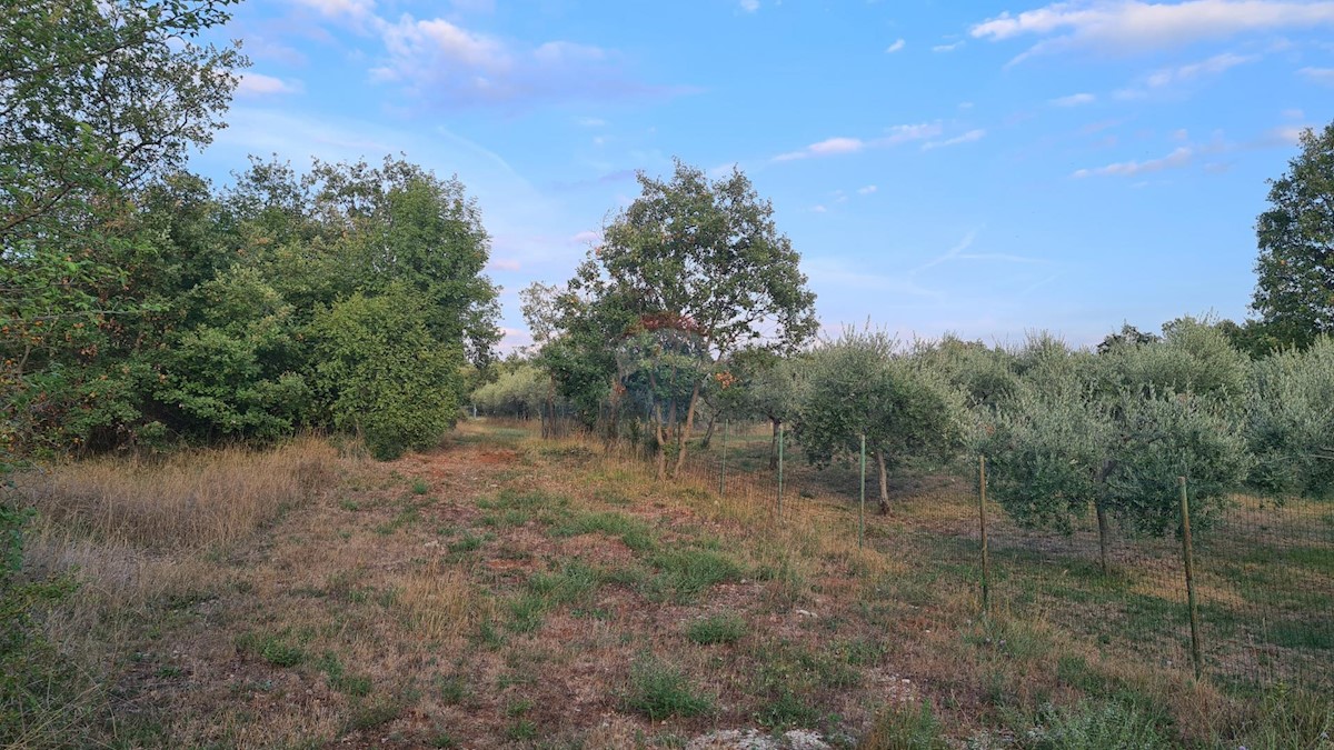 Terreno non edificabile Poreč, 3.397m2