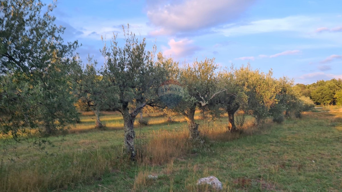 Terreno non edificabile Poreč, 3.397m2