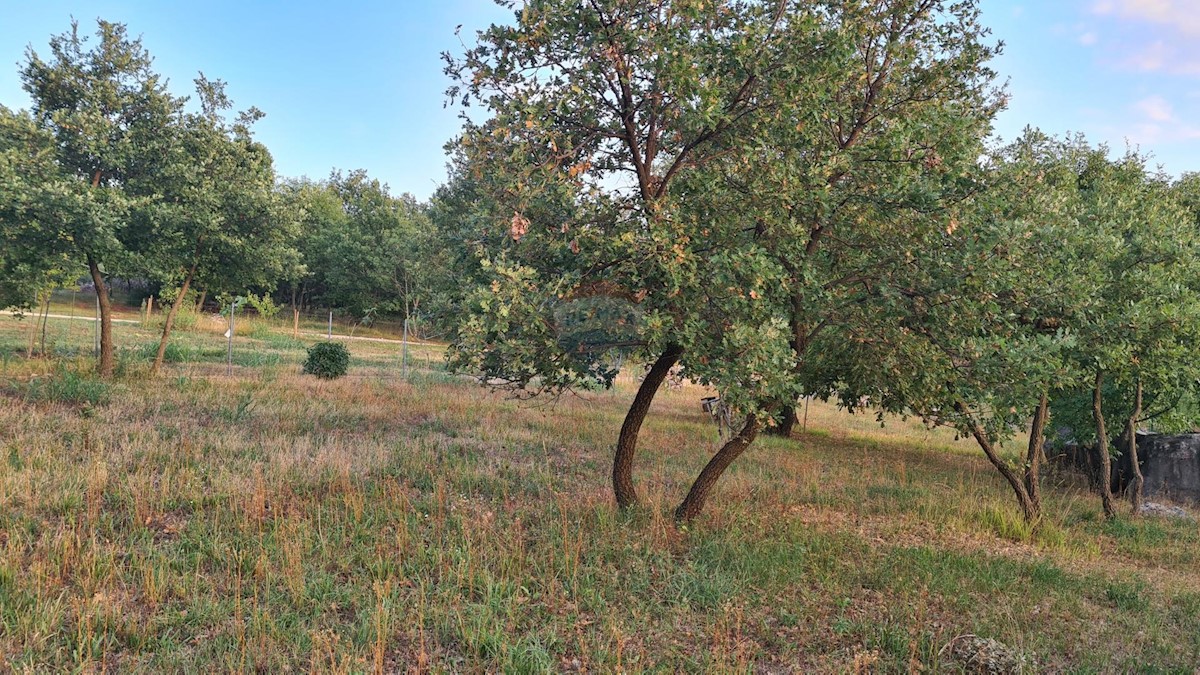 Terreno non edificabile Poreč, 3.397m2