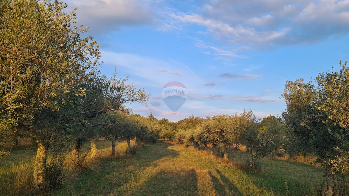 Terreno non edificabile Poreč, 3.397m2