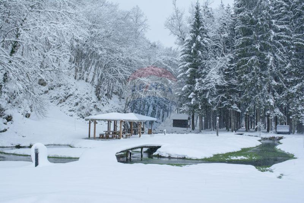 Terreno non edificabile Nova Kršlja, Rakovica, 88.604m2