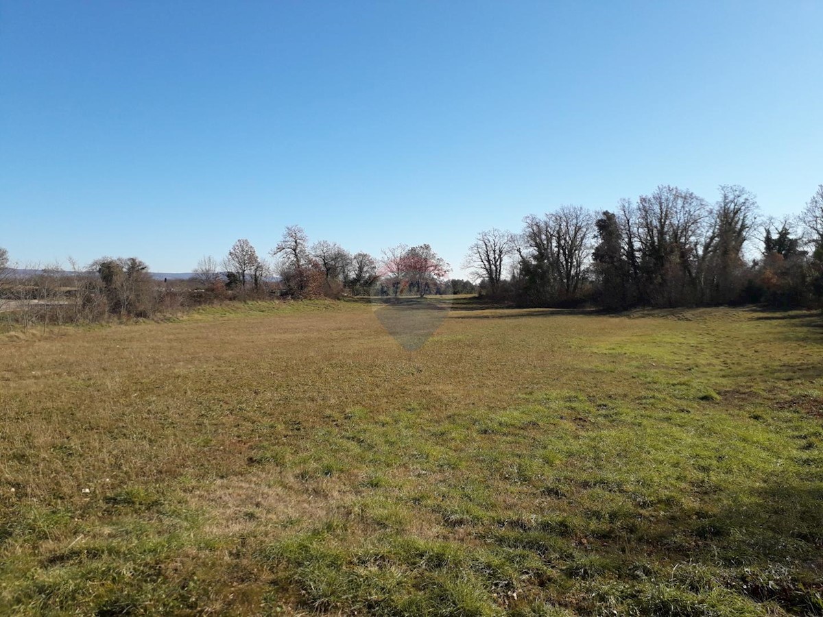 Terreno edificabile Šegotići, Marčana, 4.855m2