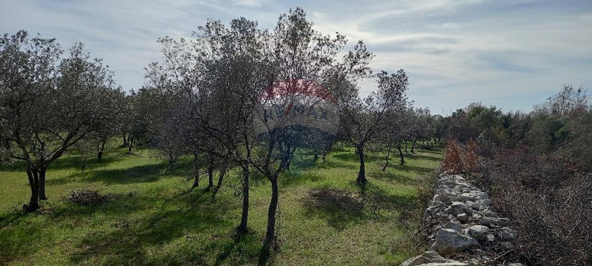 Terreno non edificabile Gajana, Vodnjan, 6.974m2