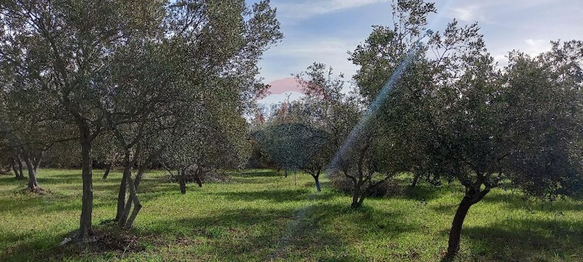 Terreno non edificabile Gajana, Vodnjan, 6.974m2