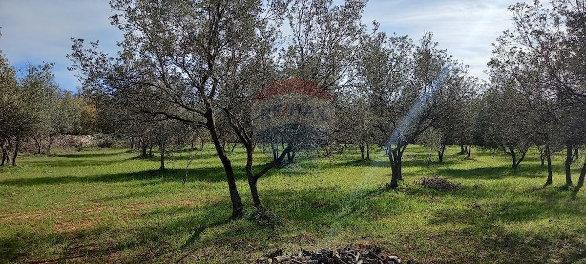 Terreno non edificabile Gajana, Vodnjan, 6.974m2