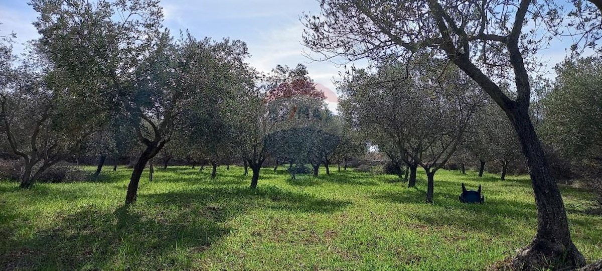 Terreno non edificabile Gajana, Vodnjan, 6.974m2