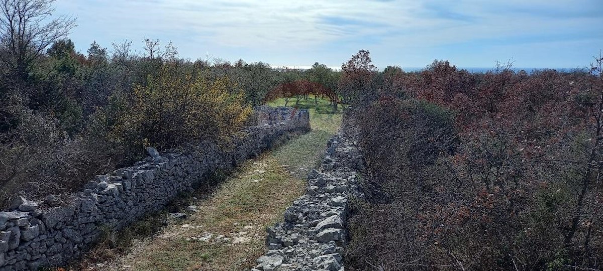 Terreno non edificabile Gajana, Vodnjan, 6.974m2