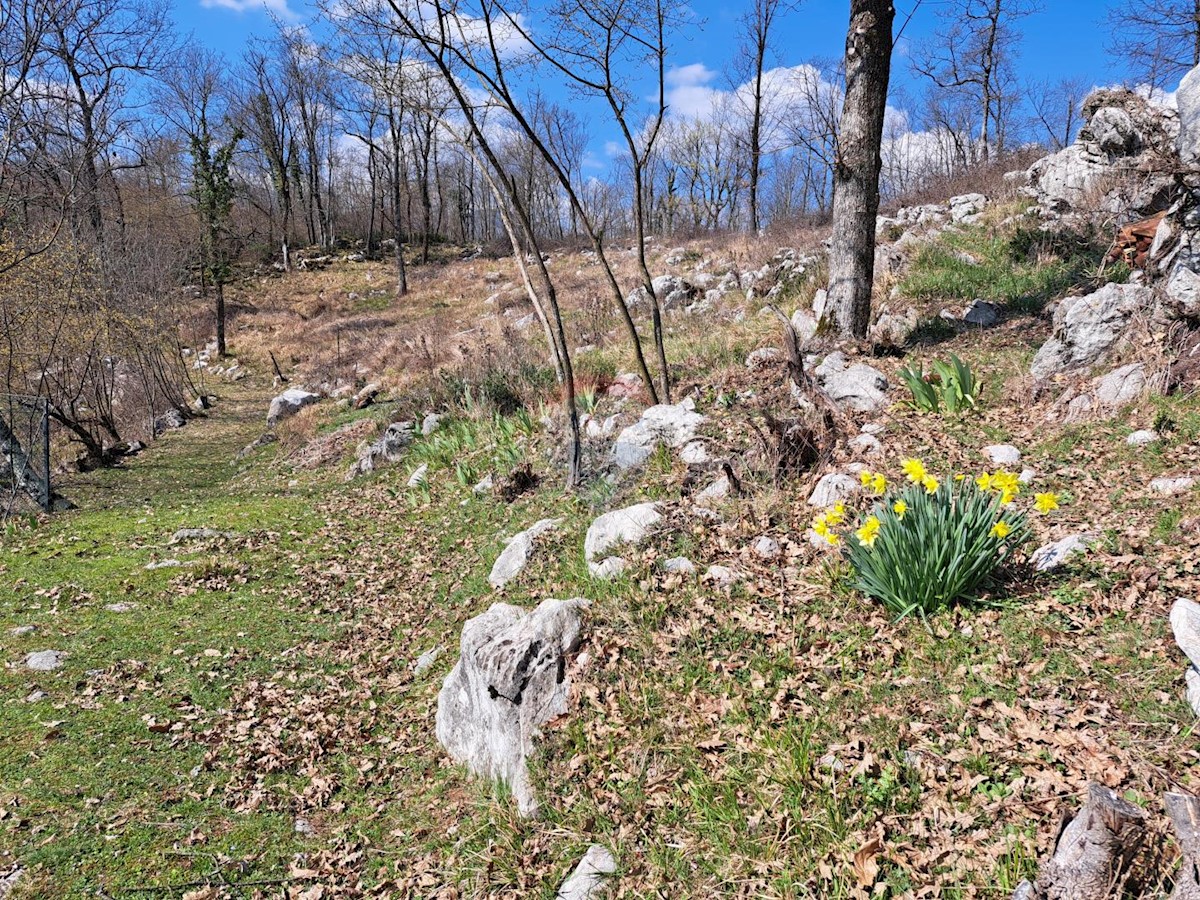 Terreno edificabile Mučići, Matulji, 1.955m2