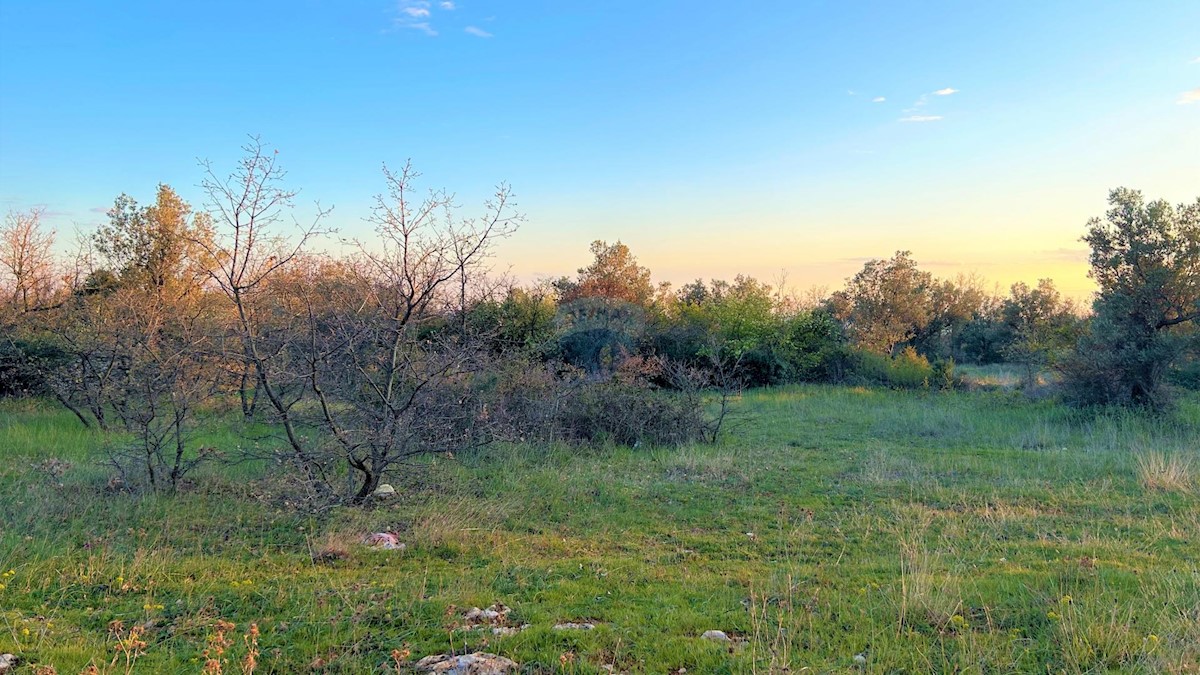 Terreno edificabile Galižana, Vodnjan, 7.637m2