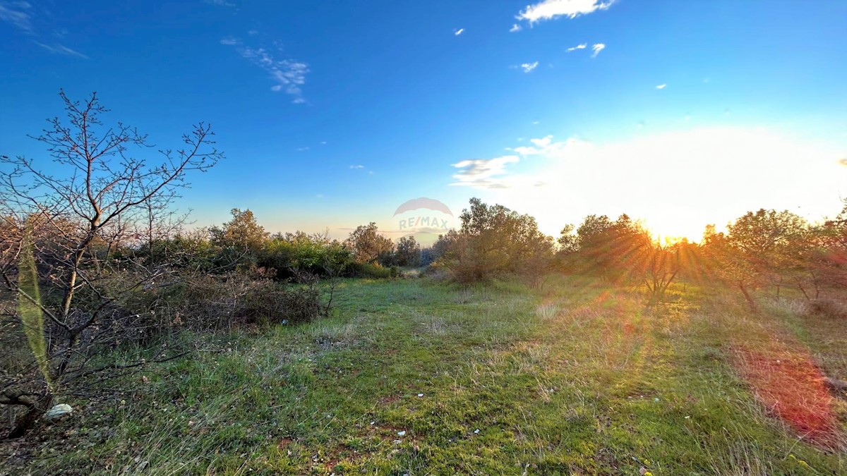 Terreno edificabile Galižana, Vodnjan, 7.637m2