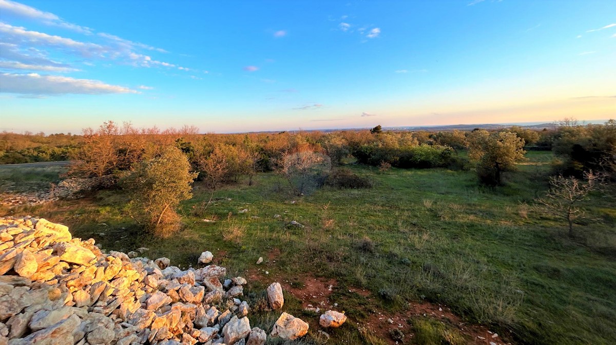 Terreno edificabile Galižana, Vodnjan, 7.637m2