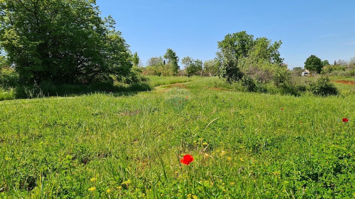 Terreno edificabile Poreč okolica, Poreč, 1.100m2