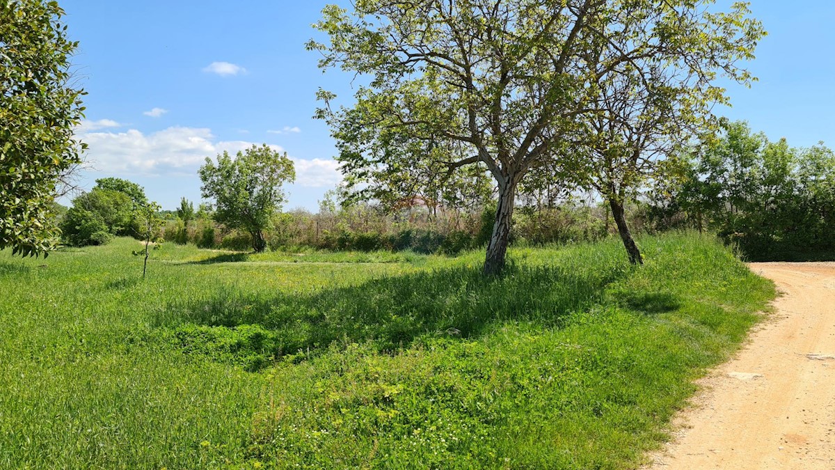 Terreno edificabile Poreč okolica, Poreč, 1.100m2