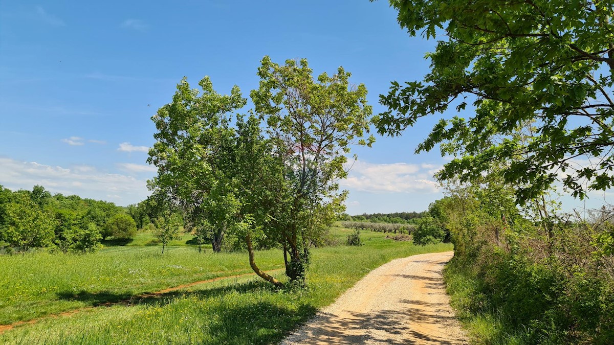 Terreno edificabile Poreč okolica, Poreč, 1.100m2