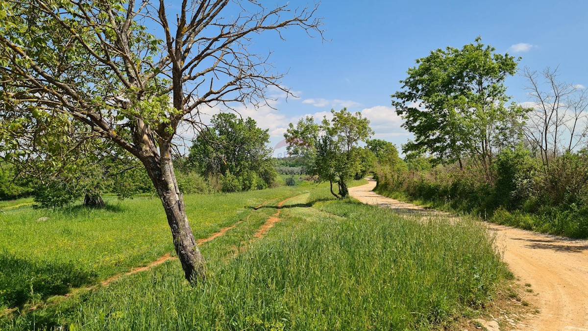 Terreno edificabile Poreč okolica, Poreč, 1.100m2