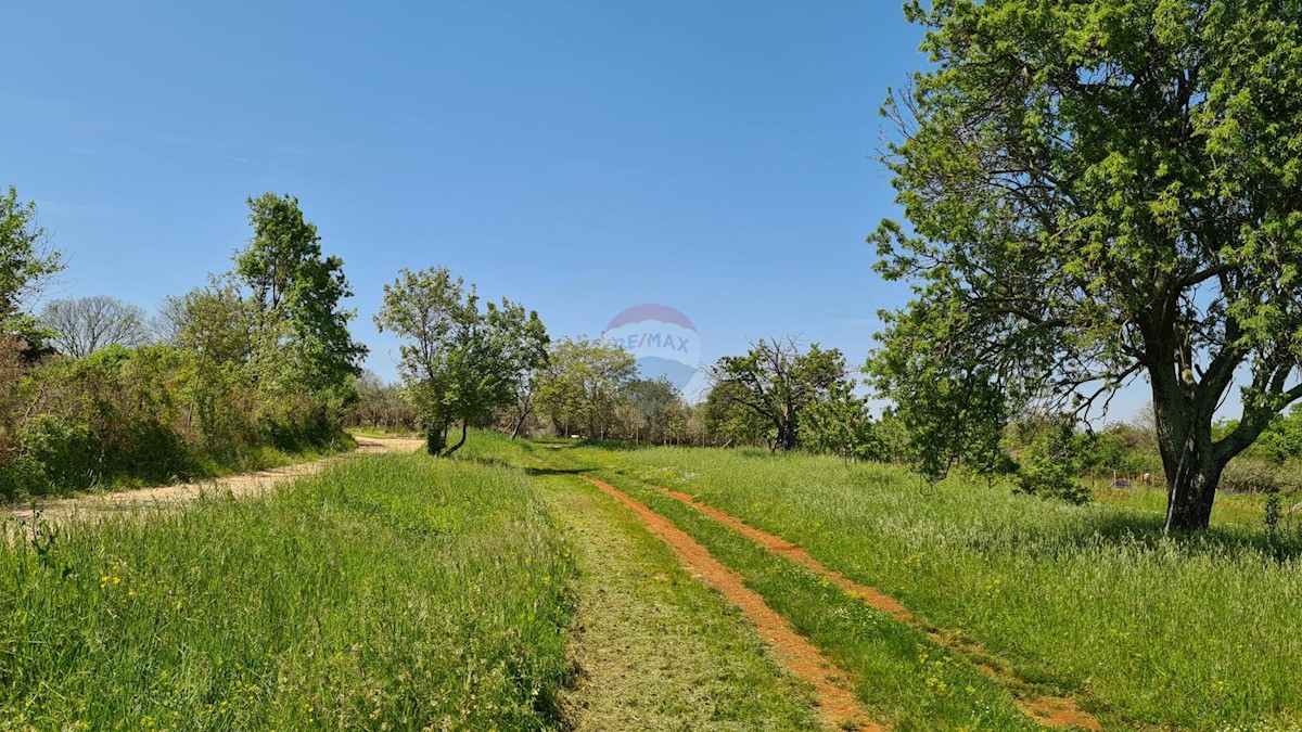 Terreno edificabile Poreč okolica, Poreč, 1.100m2