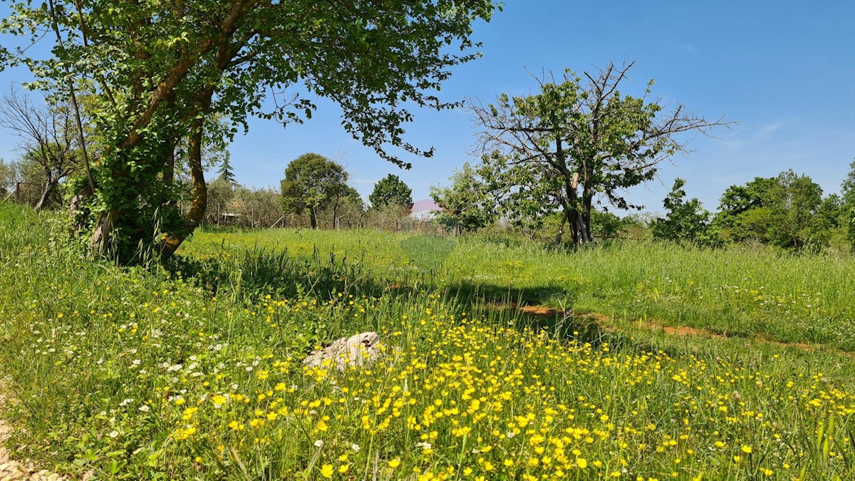 Terreno edificabile Poreč okolica, Poreč, 1.100m2