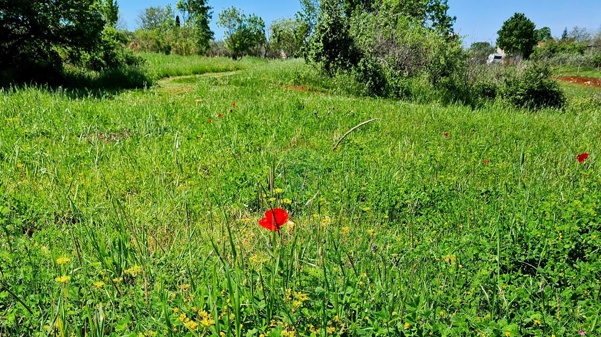 Terreno edificabile Poreč okolica, Poreč, 1.100m2