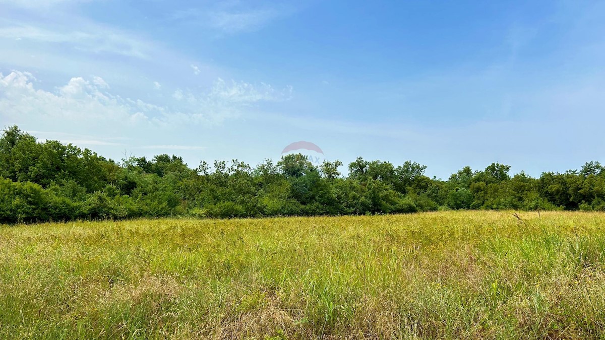 Terreno non edificabile Lovrečica, Umag, 4.873m2