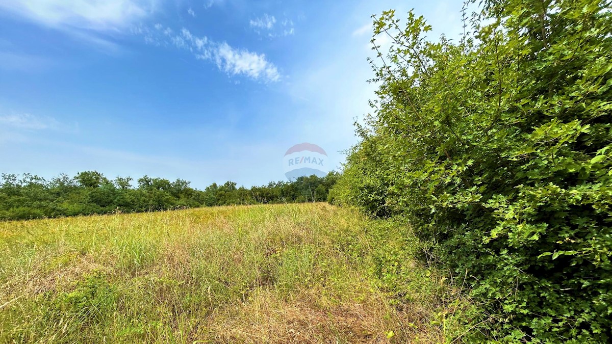 Terreno non edificabile Lovrečica, Umag, 4.873m2