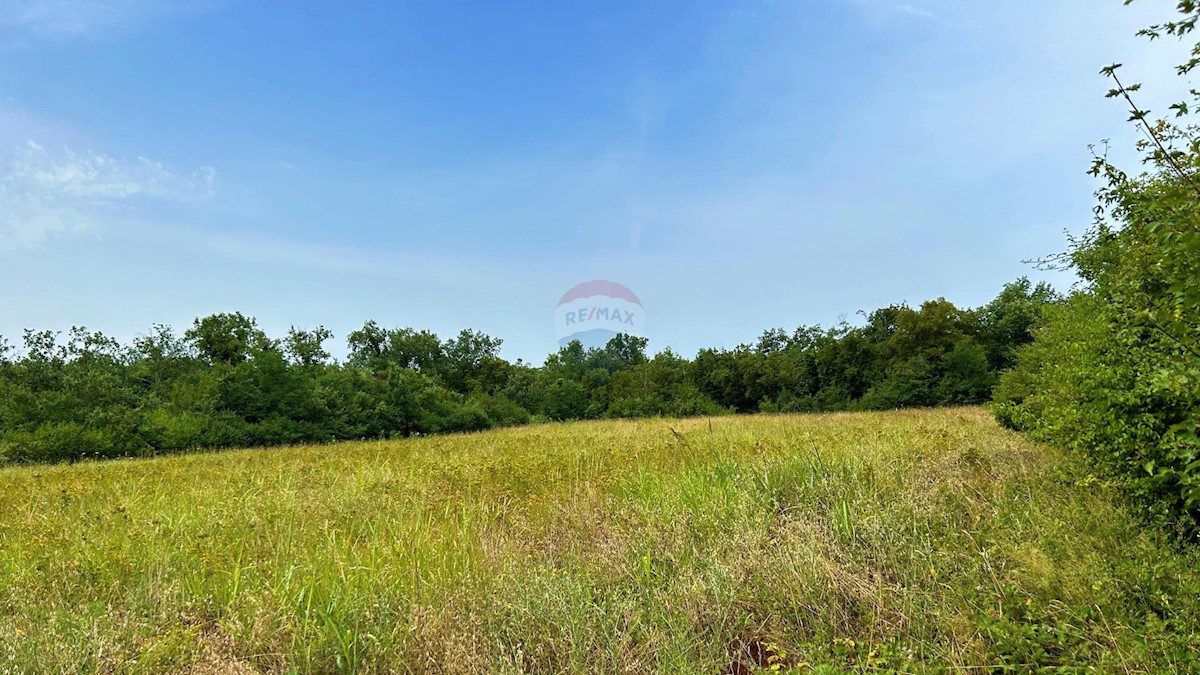 Terreno non edificabile Lovrečica, Umag, 4.873m2