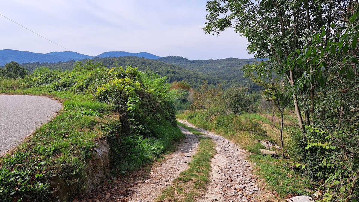 Casa Brdce, Matulji, 712m2