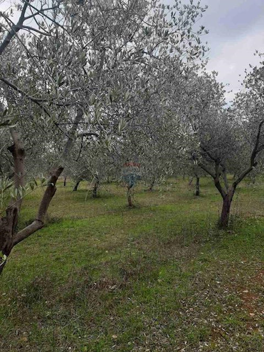 Terreno non edificabile Galižana, Vodnjan, 4.629m2