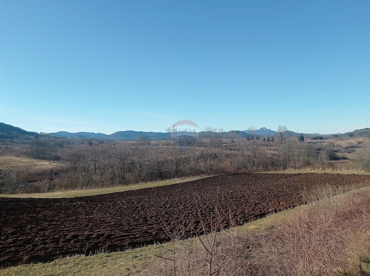 Terreno non edificabile Pothum Plaščanski, Plaški, 98.000m2