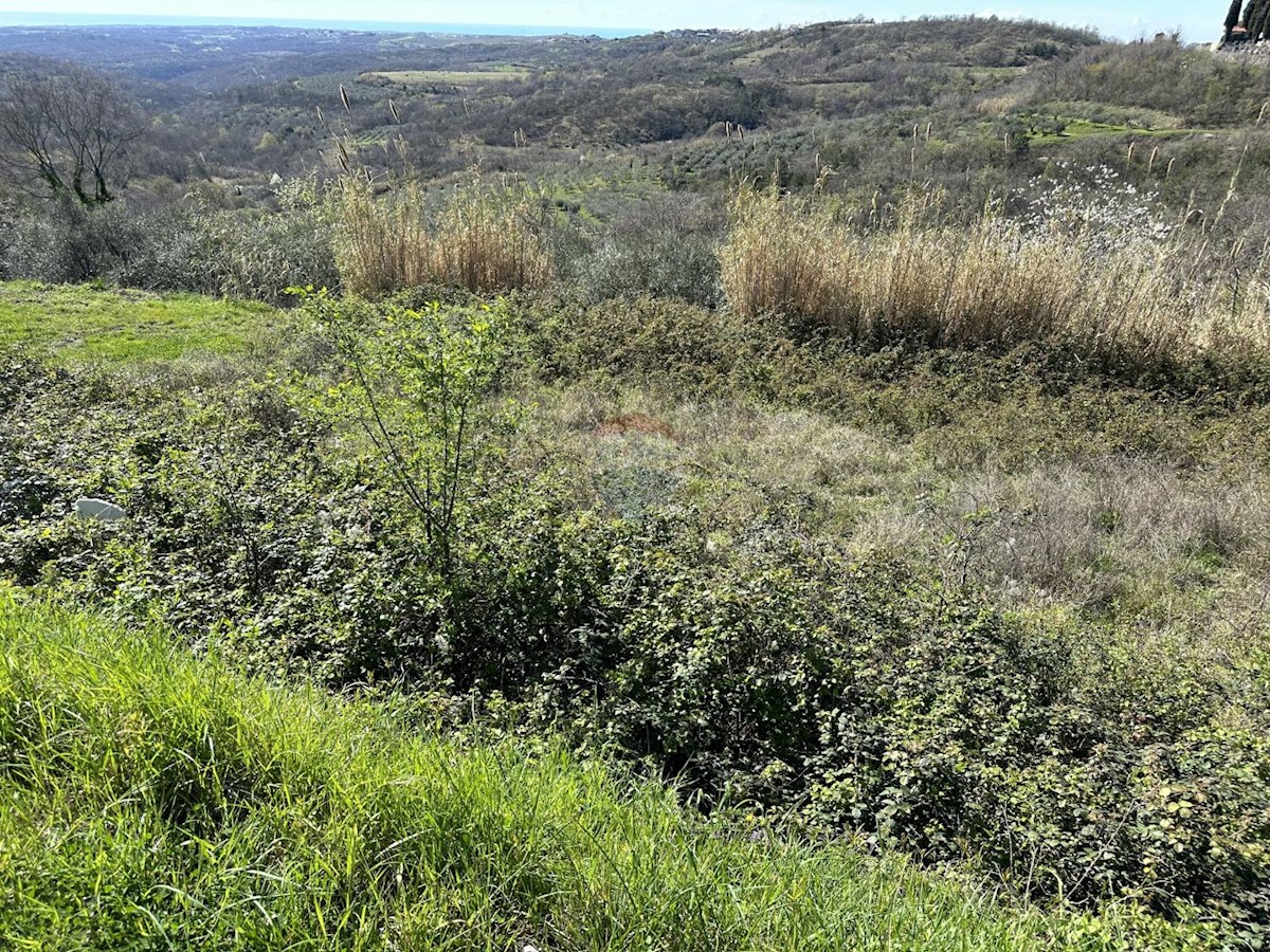 Terreno edificabile Krasica, Buje, 754m2