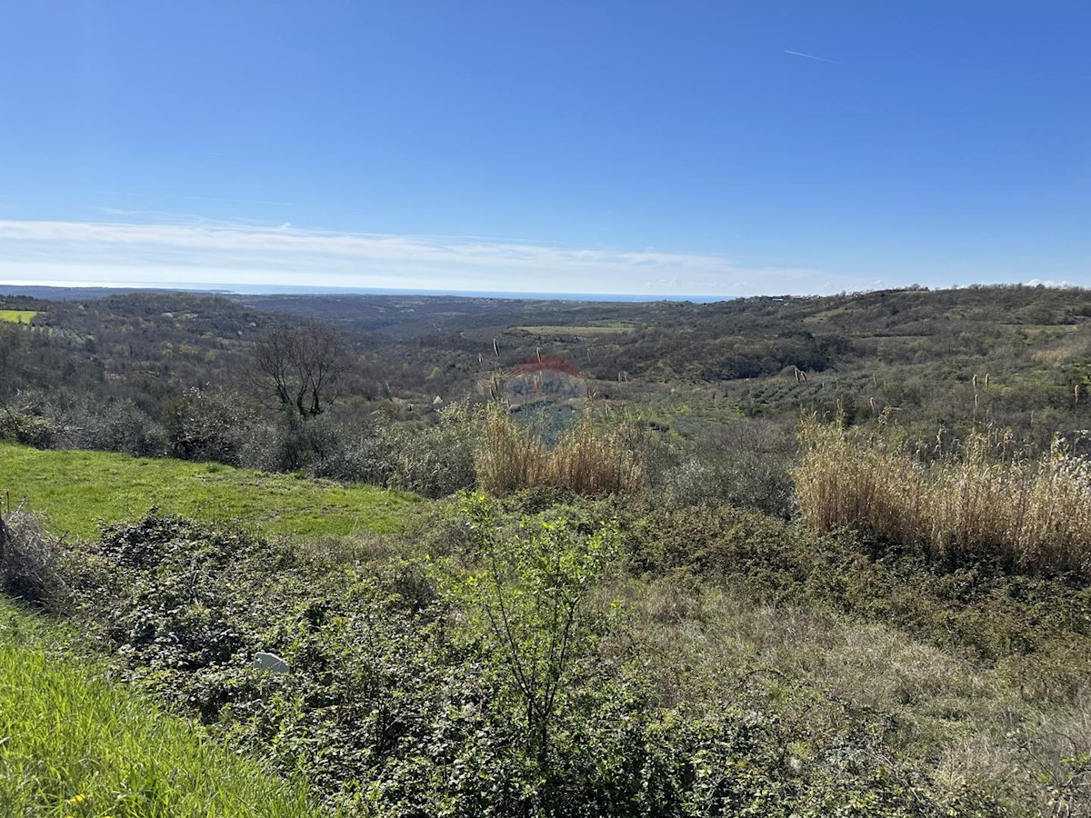 Terreno edificabile Krasica, Buje, 754m2