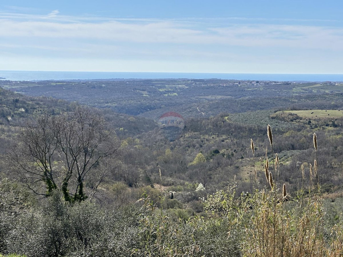 Terreno edificabile Krasica, Buje, 754m2