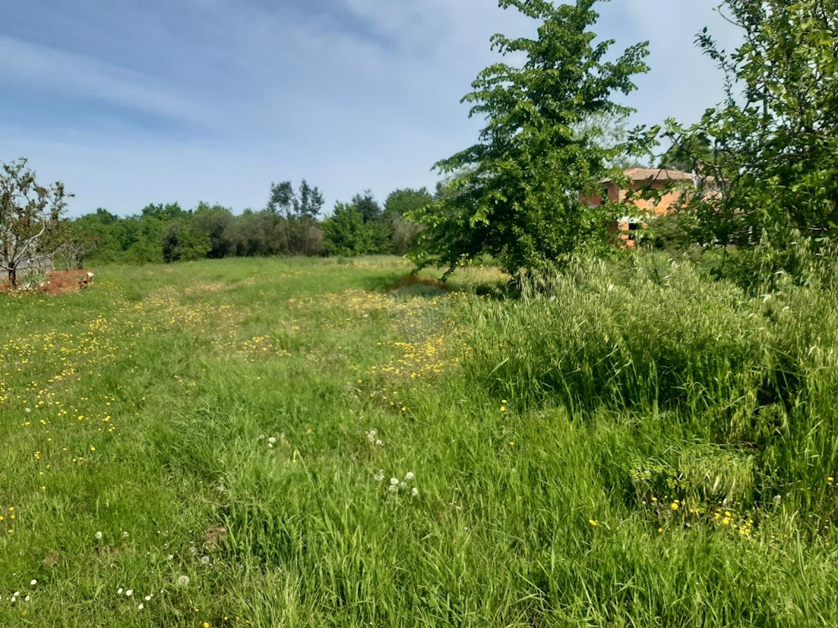 Terreno edificabile Kaštelir, Kaštelir-Labinci, 918m2