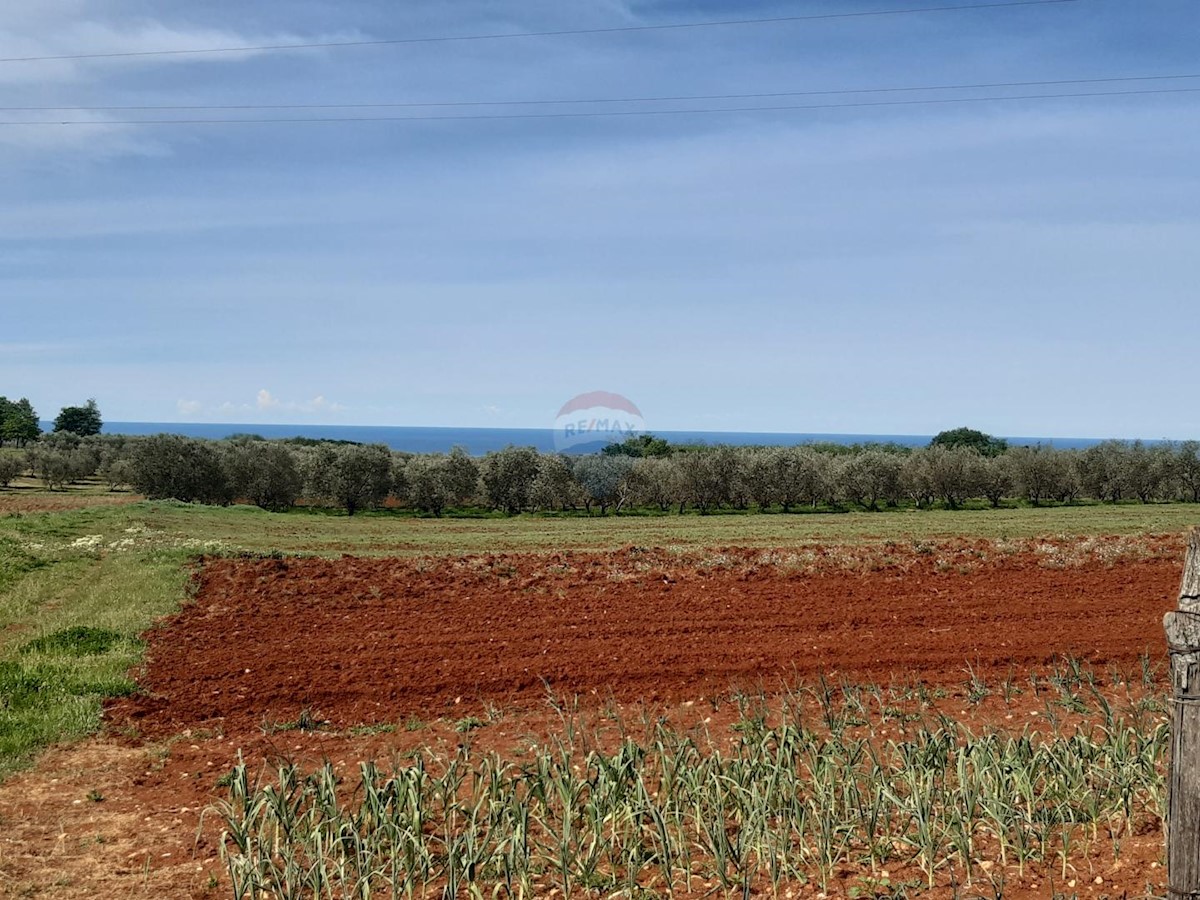 Terreno edificabile Kaštelir, Kaštelir-Labinci, 918m2