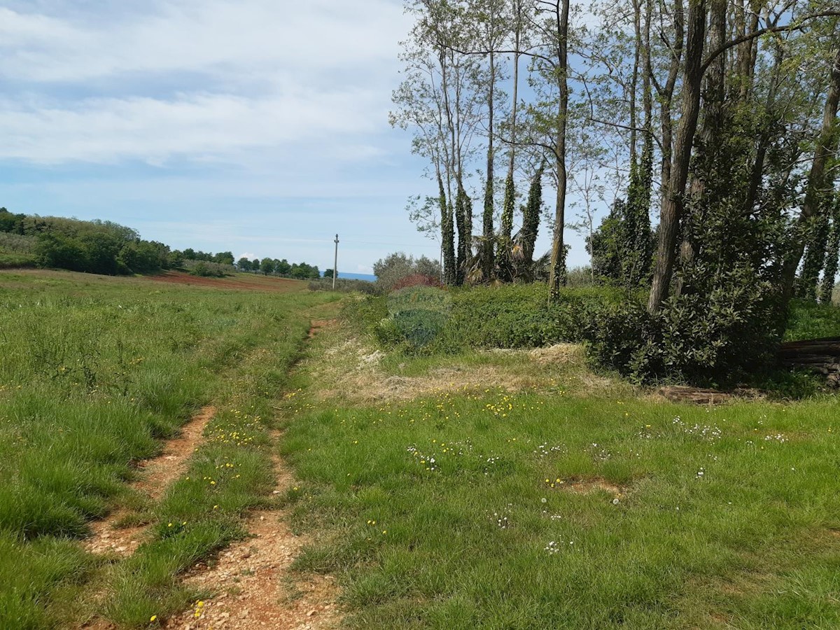 Terreno edificabile Kaštelir, Kaštelir-Labinci, 918m2