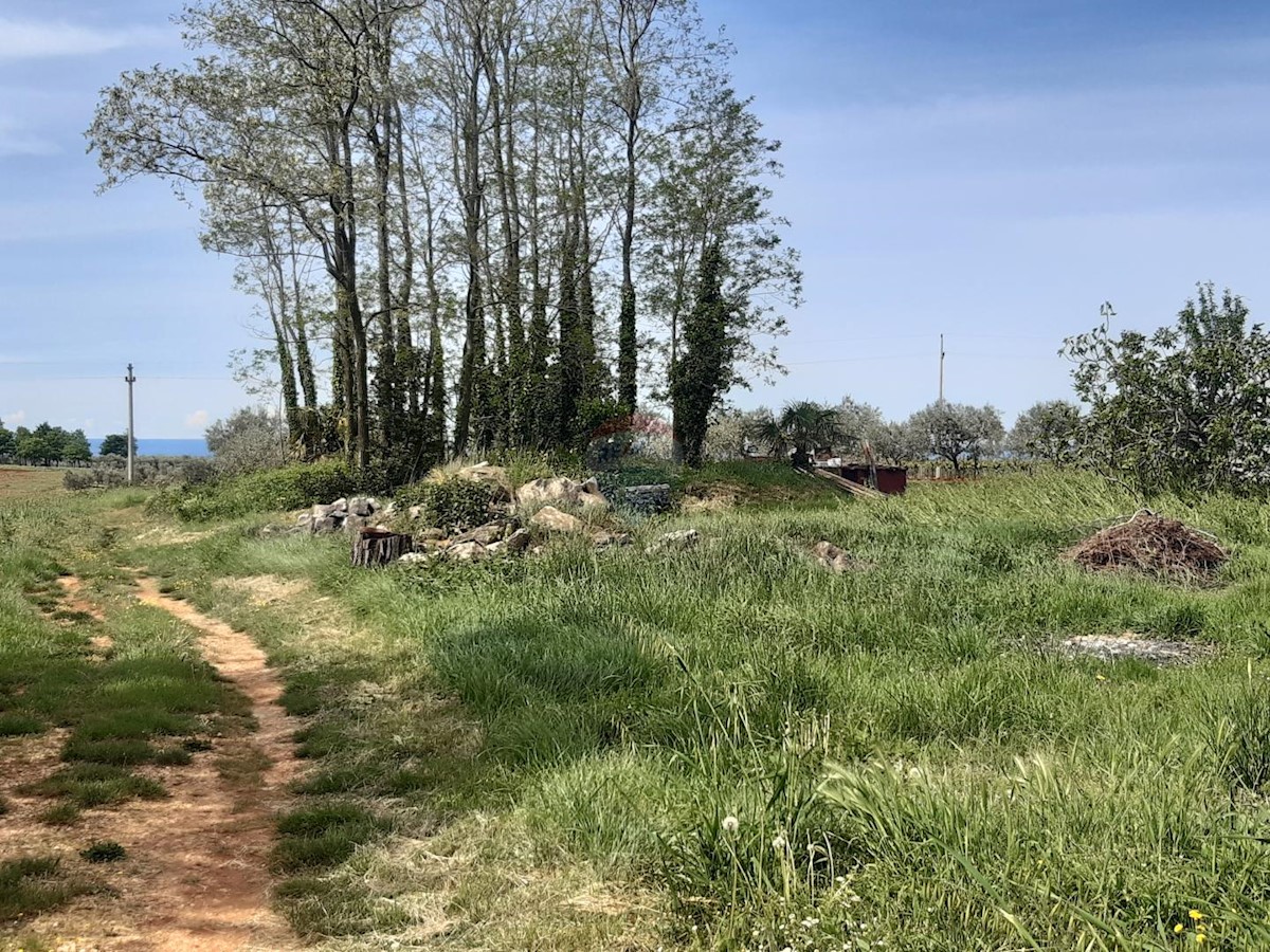 Terreno edificabile Kaštelir, Kaštelir-Labinci, 918m2