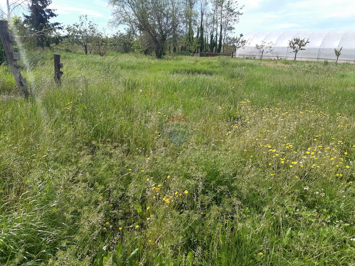 Terreno edificabile Kaštelir, Kaštelir-Labinci, 918m2