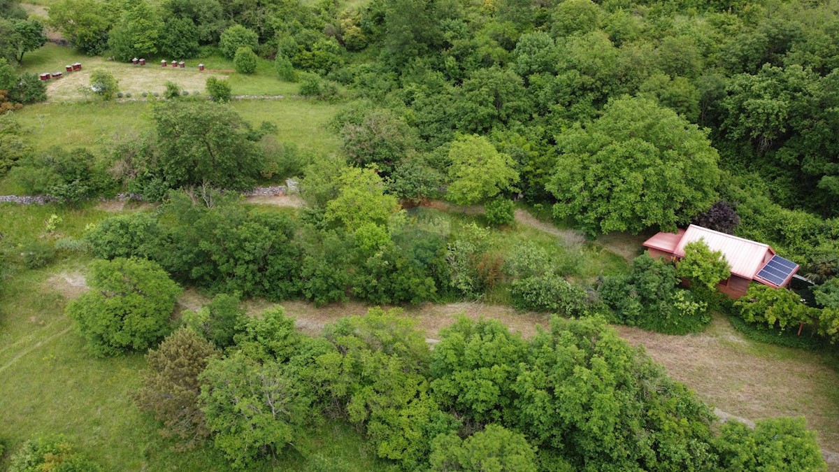 ISTRIA, KOŽLJAK - Eco cottage at the foot of the nature park!