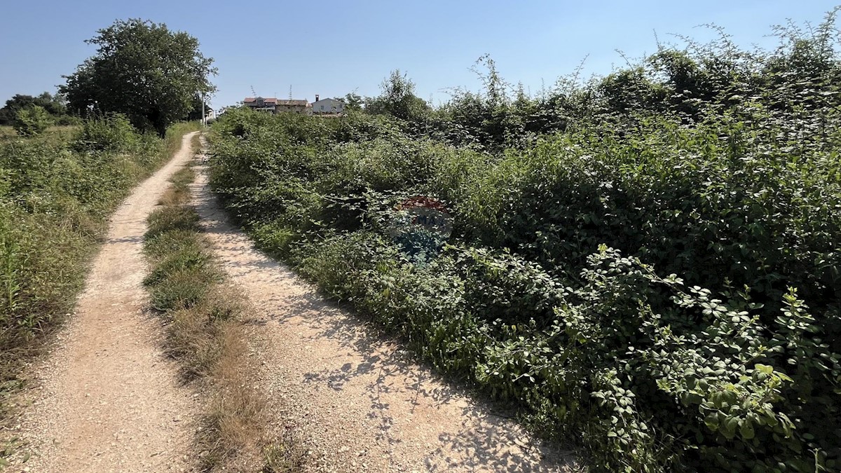 Terreno edificabile Delići, Sveti Lovreč, 1.017m2