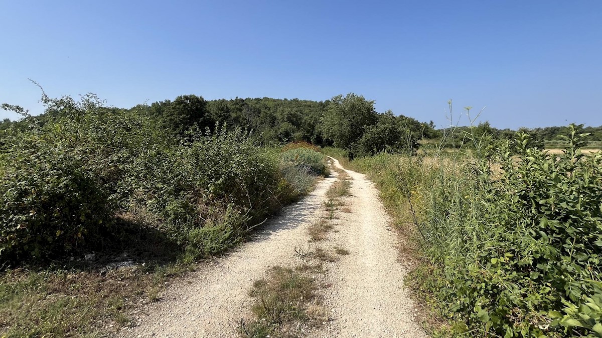 Terreno edificabile Delići, Sveti Lovreč, 1.017m2