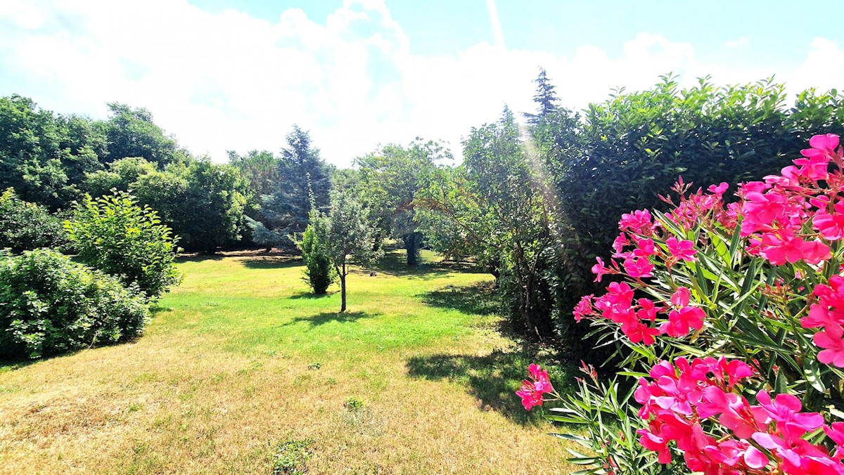 Casa Brtonigla, 600m2